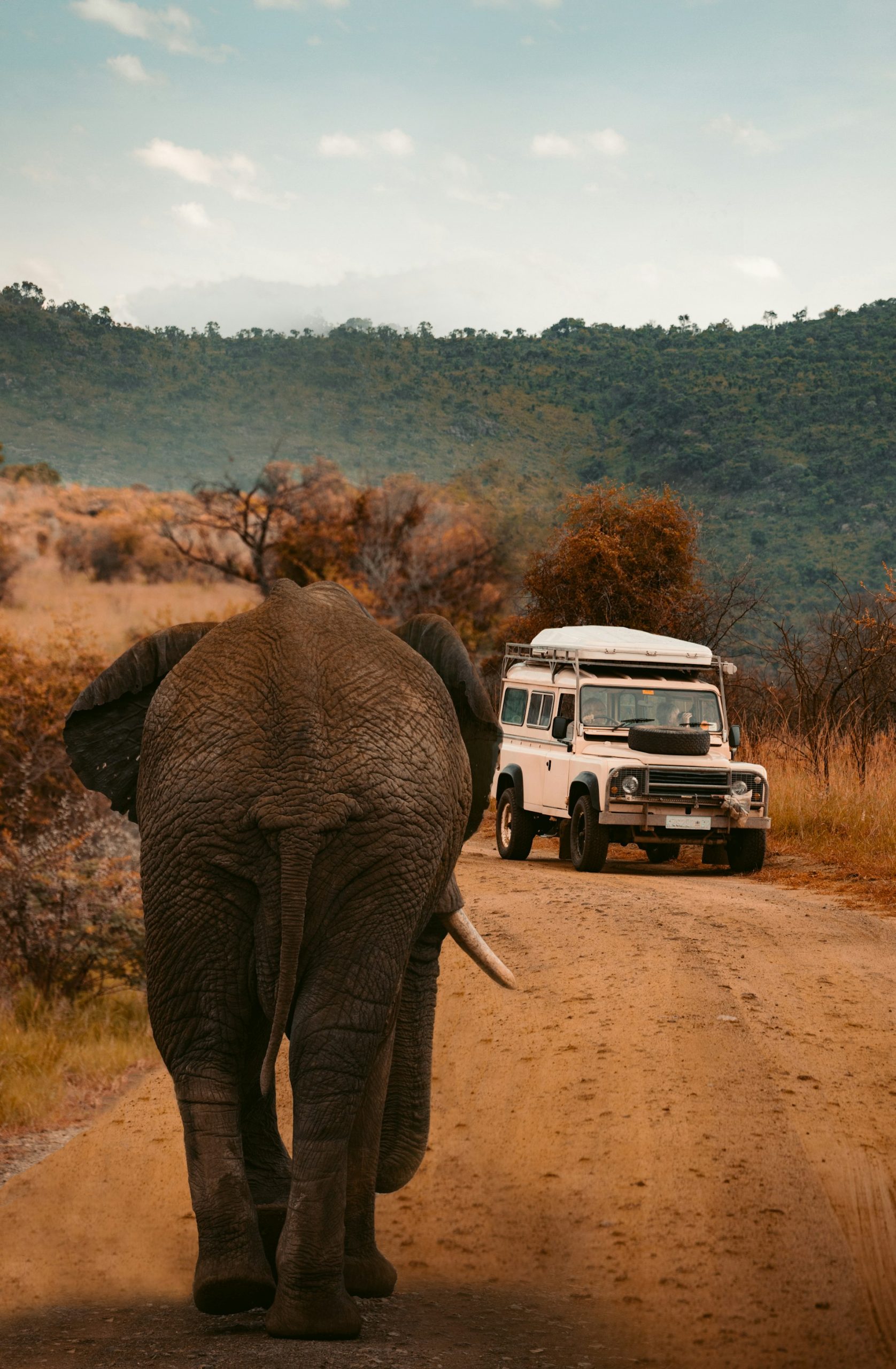 luxury safari Tanzania